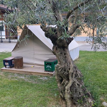 Camping Daino Пиетрамурата Екстериор снимка