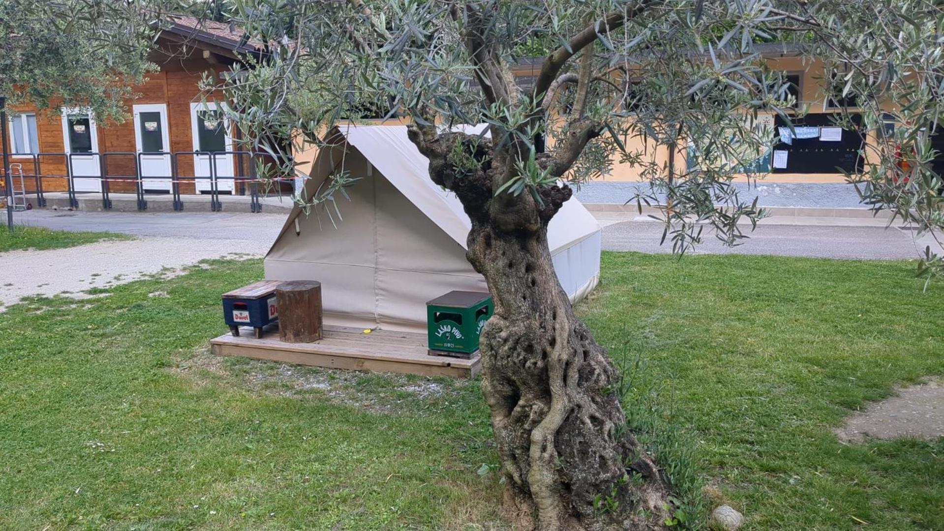 Camping Daino Hotel Пиетрамурата Екстериор снимка